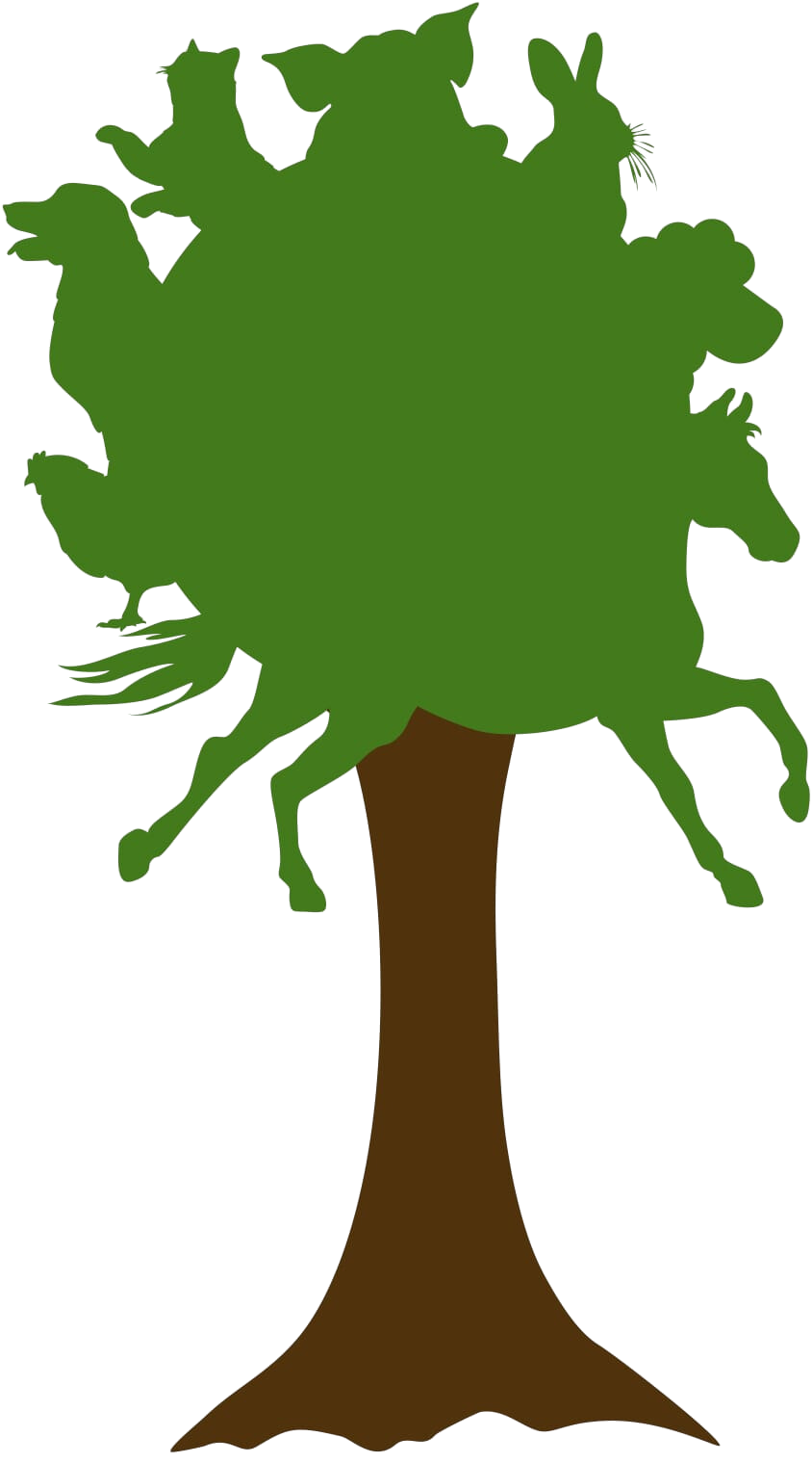 VORLAGE (Hier Titel eingeben!)